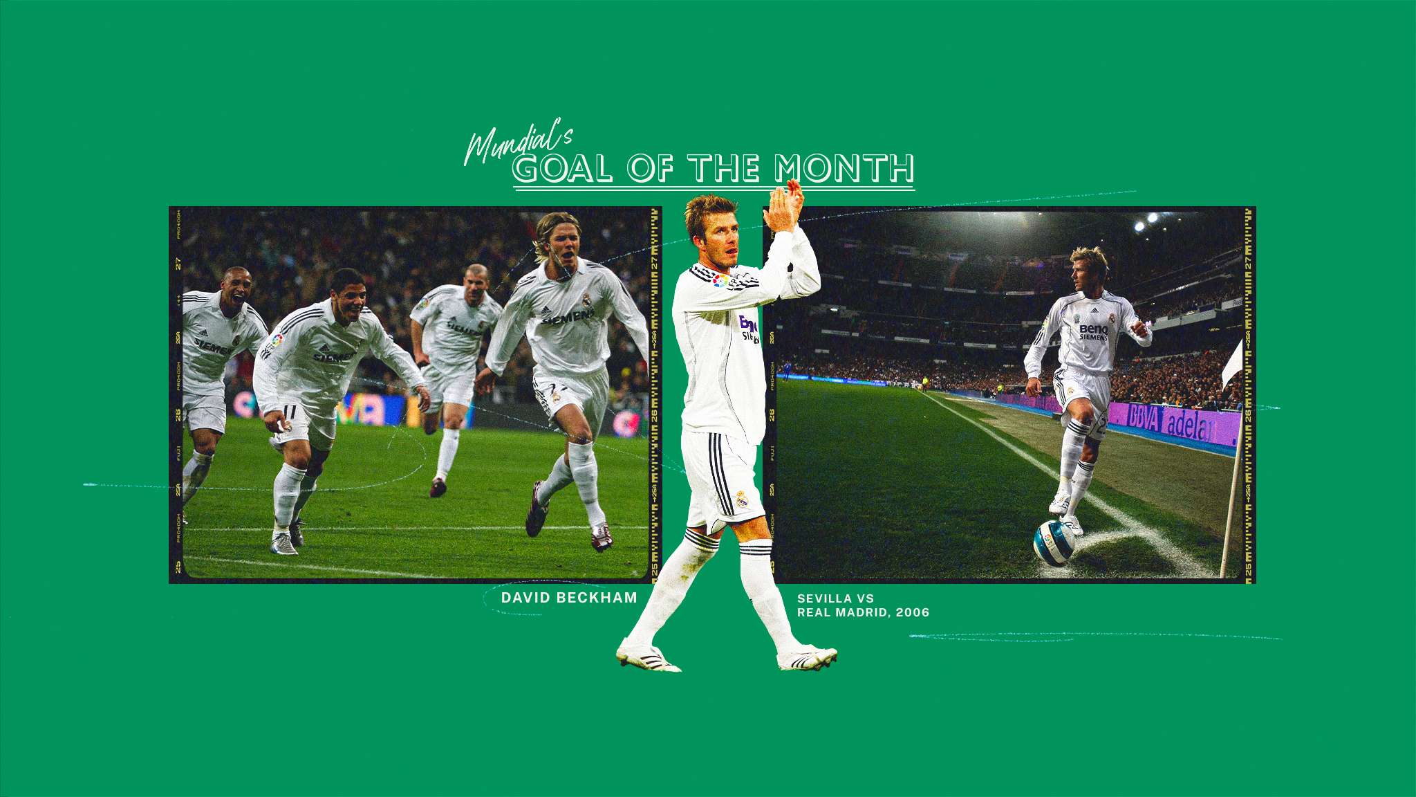 公正性和专 公正性和专